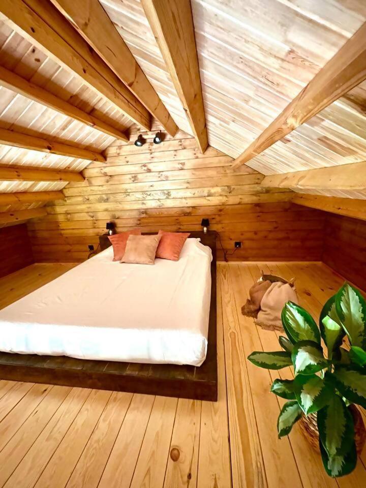 מלון Corujeira de Dentro Mountain Eco Shelter 3 מראה חיצוני תמונה